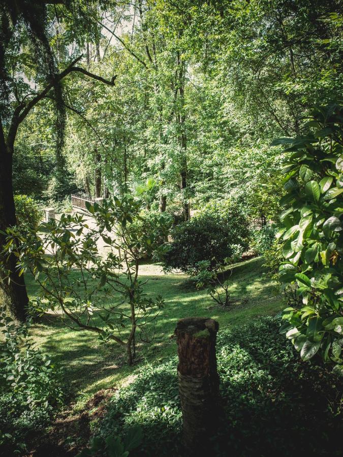 Corte Di Cavne' Villa Miazzina Buitenkant foto